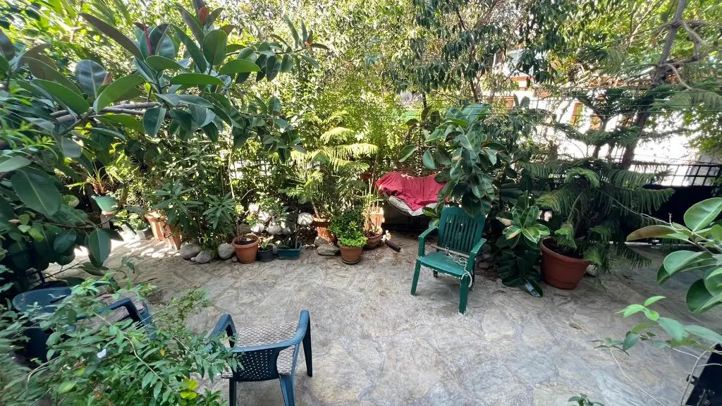 Mature garden